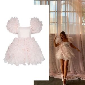 NWT Selkie Strawberry Milk Paris Pink Mini Dress